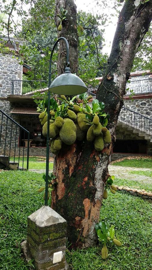 Wildernest Panzió Thekkady Kültér fotó