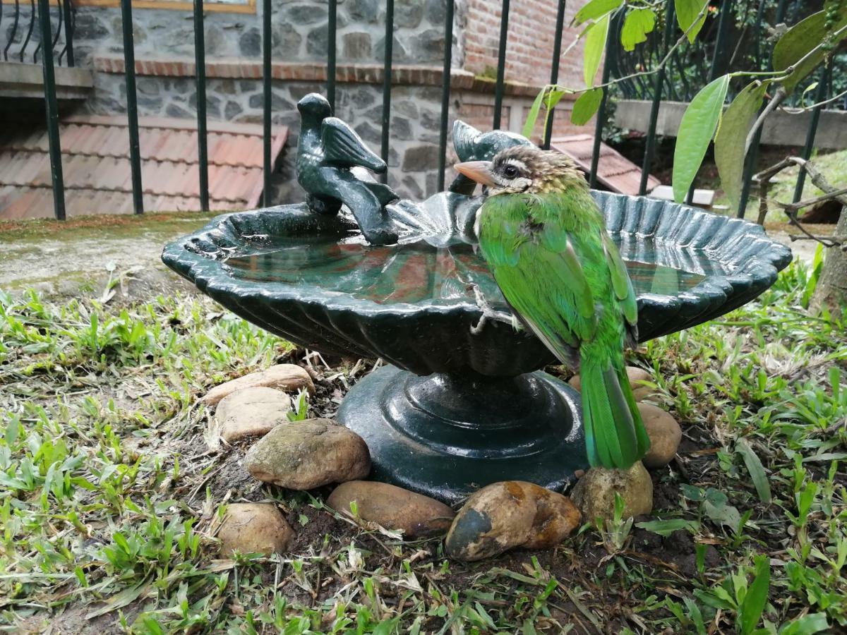 Wildernest Panzió Thekkady Kültér fotó