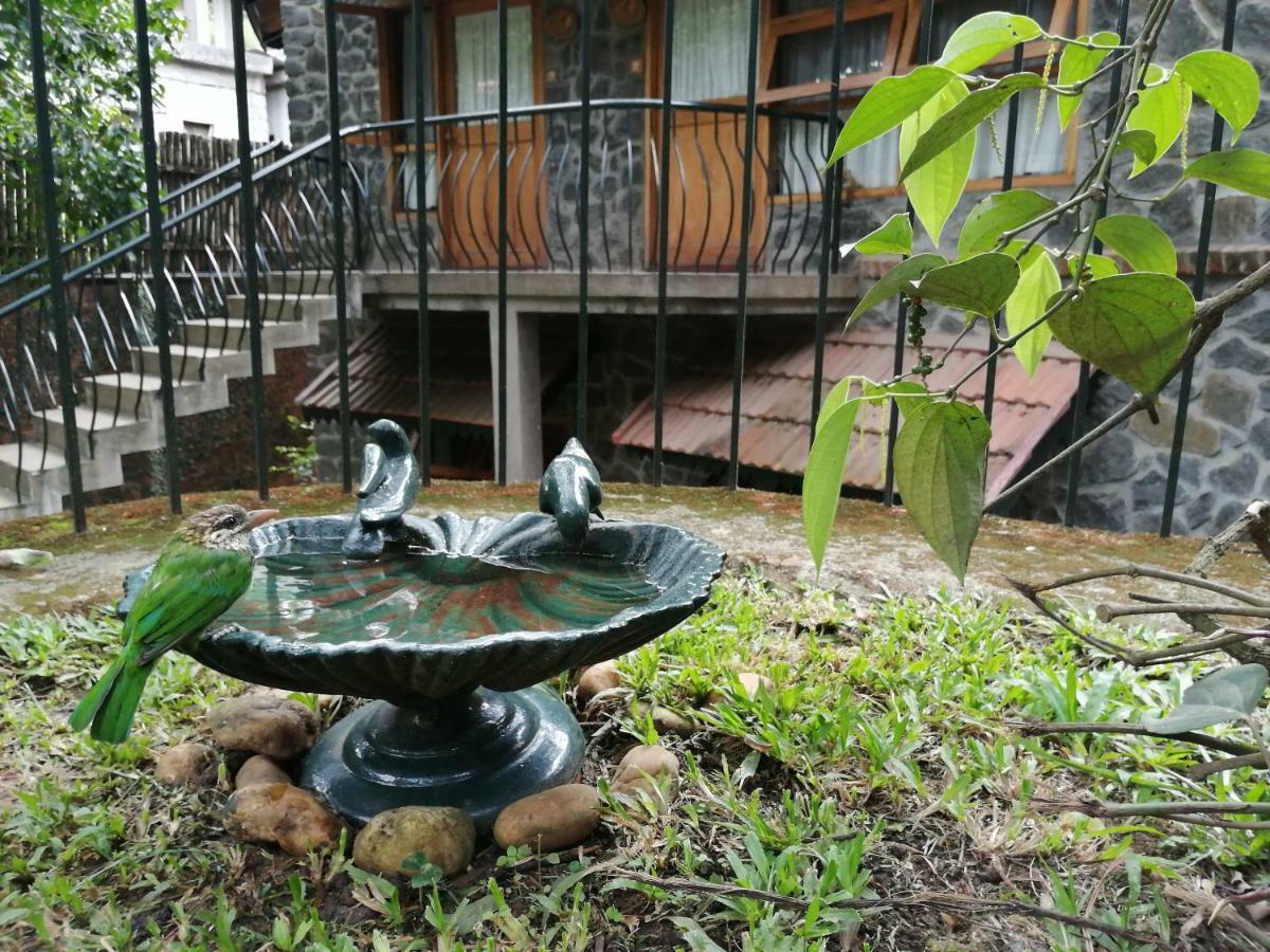 Wildernest Panzió Thekkady Kültér fotó