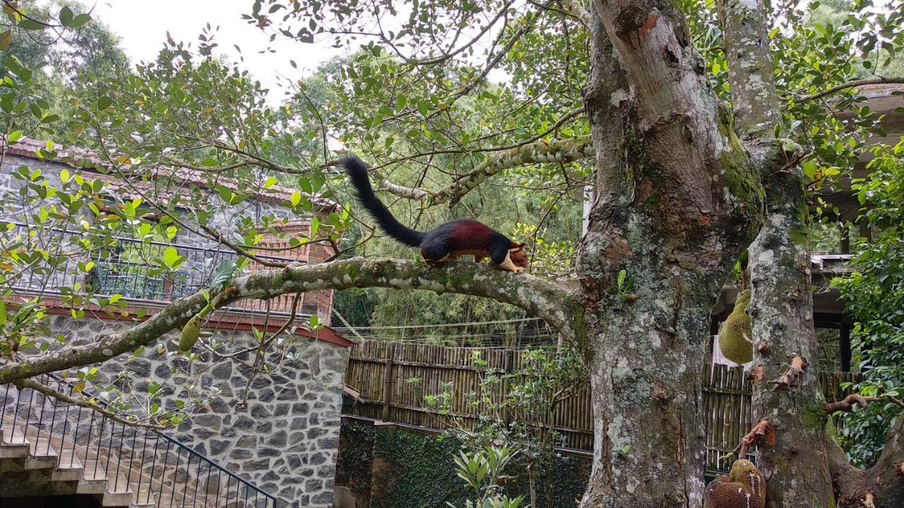 Wildernest Panzió Thekkady Kültér fotó