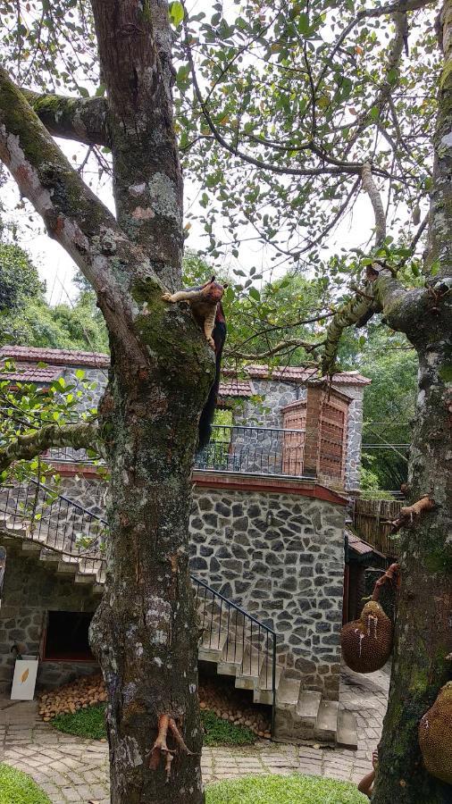 Wildernest Panzió Thekkady Kültér fotó