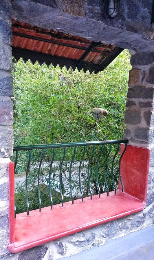 Wildernest Panzió Thekkady Kültér fotó